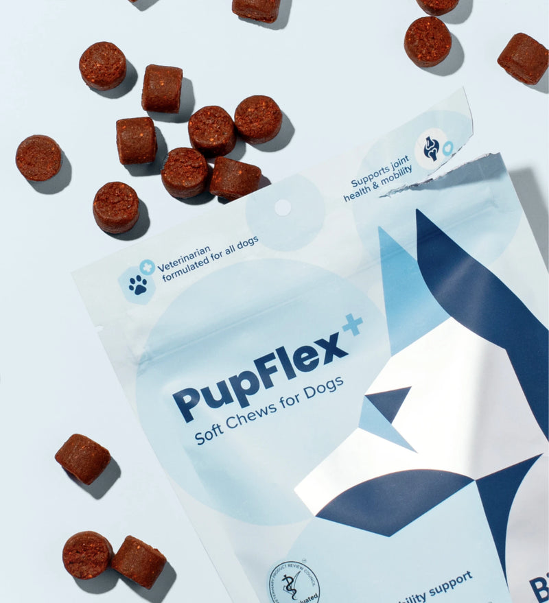 Rendering of designed packaging and studio shot for BioPup