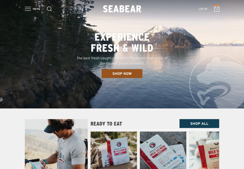 Example of designed homepage layout for SeaBear