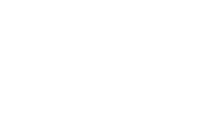 honey smoked fish co